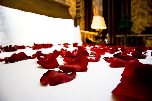 roses-on-bed